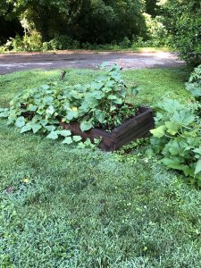 Front Yard Gardens of Decatur