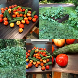 Front Yard Gardens of Decatur